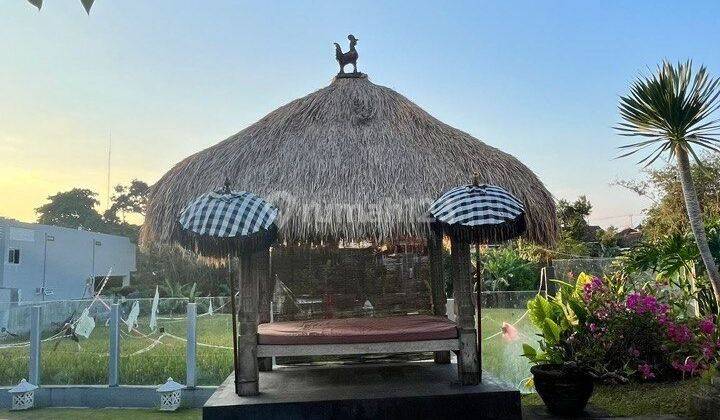 Spacious Villa With Rice Field View in Canggu 2