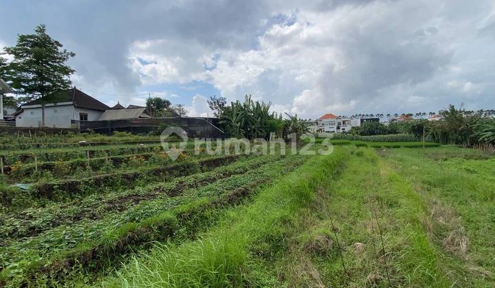 For Sale Freehold Land 500M²-1315M² in Tumbak Bayuh - Af462 For Sale Freehold Land 500M²-1315M² in Tumbak Bayuh - Af462