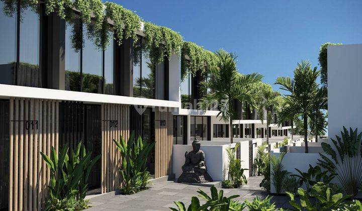 Complex Villa Baru View Sawah di Berawa, Canggu 1