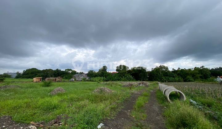 DIJUAL UNTUK DISEWA LAHAN SELUAS 1.200 m² HINGGA 2.400 m² UNTUK SEWA ATAU HAK MILIK DI PERERENAN - AF548