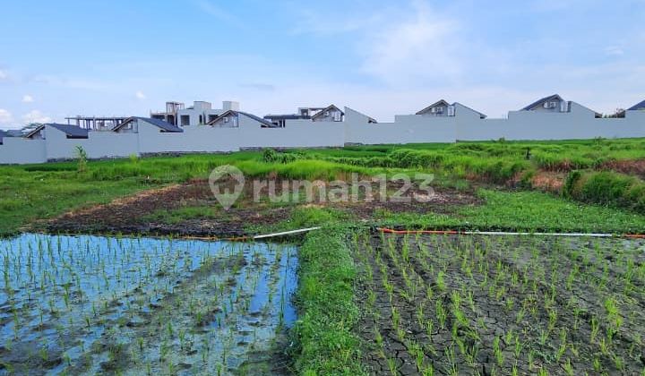 Dijual Tanah Seluas 700 Meter Persegi untuk Hak Milik di Seseh - Af580