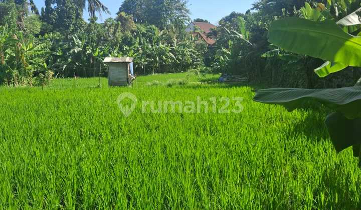 LAND FOR RENT 1000-3500M2 FOR RENT IN UMALAS - AF502 LAND FOR RENT 1000-3500M2 FOR RENT IN UMALAS - AF502