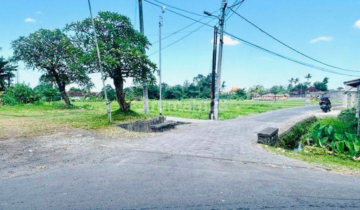 Tanah di Buduk, Badung 1.230 m² 2