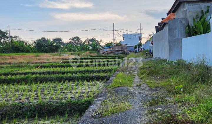DIJUAL TANAH HAK MILIK SELUAS 300M²-1113M² DI SESEH - AF580