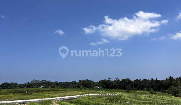 FOR RENT 5.5 ARES OF LAND IN CEMAGI - YO170