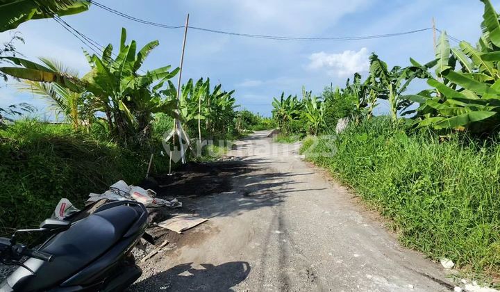 DIJUAL TANAH HAK MILIK SELUAS 300M²-1113M² DI SESEH - AF580