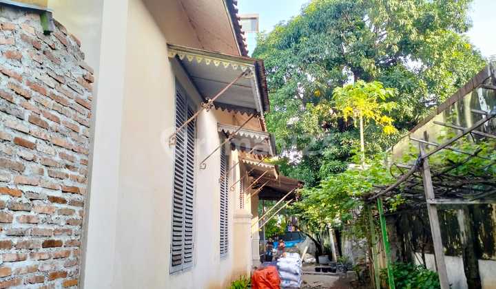 Old House on Jl Raden Saleh Central Jakarta For Quick Sale Old House on Jl Raden Saleh Central Jakarta For Quick Sale