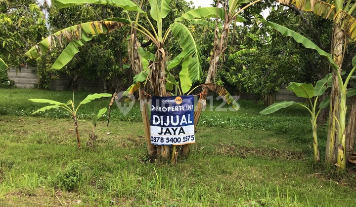 Tanah Berlokasi Strategis Kawasan Ramai Hotel Dan Villa Di Lovina 2