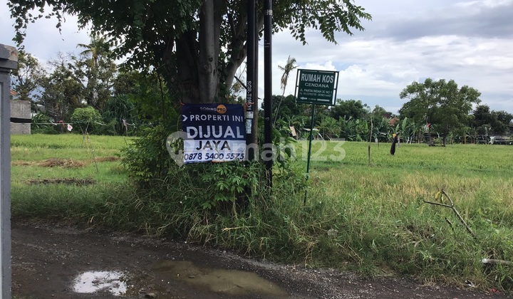 Tanah Berlokasi Di Kota Singaraja Dekat Pantai Penimbangan Bali 2