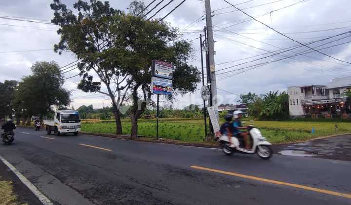 Tanah Luasan Besar Sangat Strategis Di Kota Singaraja Bali Tanah Luasan Besar Sangat Strategis Di Kota Singaraja Bali