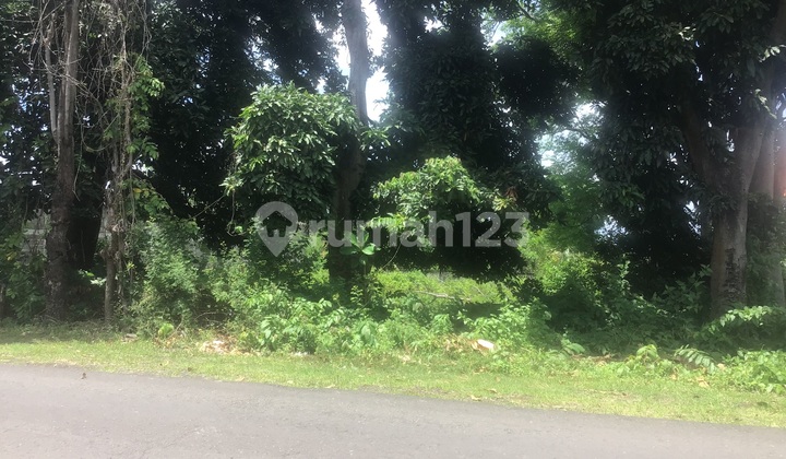 Large Land Area in the Elite Area of Singaraja City in North Bali