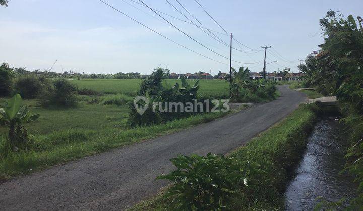 Tanah Murah Dekat Panti Di Kawasan Villa Di Bali Utara 1