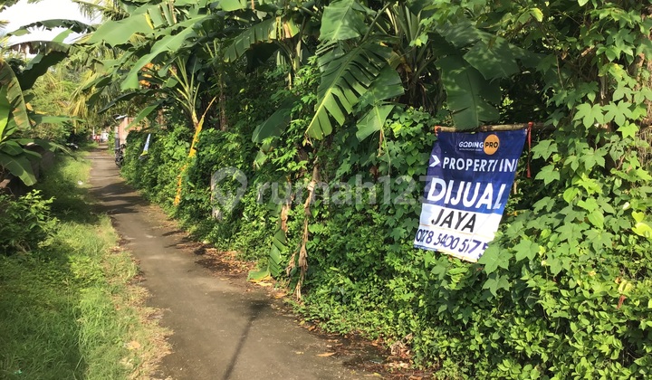 Tanah Murah Dekat Pantai Lovina Di Seputaran Kota Singaraja Bali 2