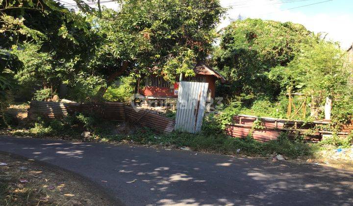 Cheap Land in Busy Area, Best Investment in Singaraja Bali 2