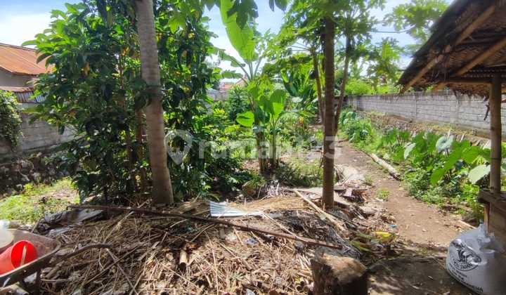 Tanah Murah Sangat Strategis Di Jalan Utama Provinsi Bali Utara 2