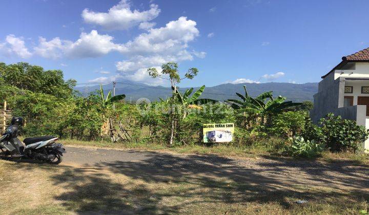 Land View Rice Fields And Hills In Singaraja City Bali