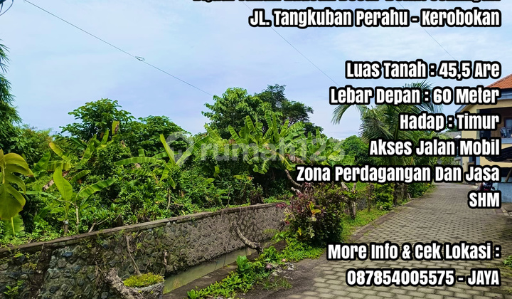 Dijual Tanah Luasan Besar Dekat Seminyak di Bali