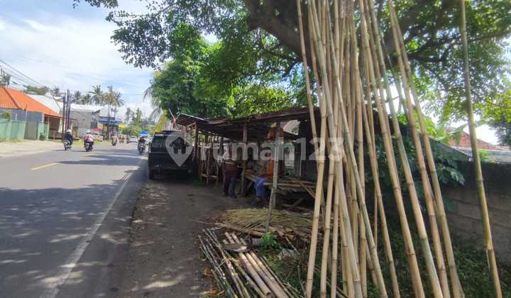 Tanah Murah Sangat Strategis Di Jalan Utama Provinsi Bali Utara 1