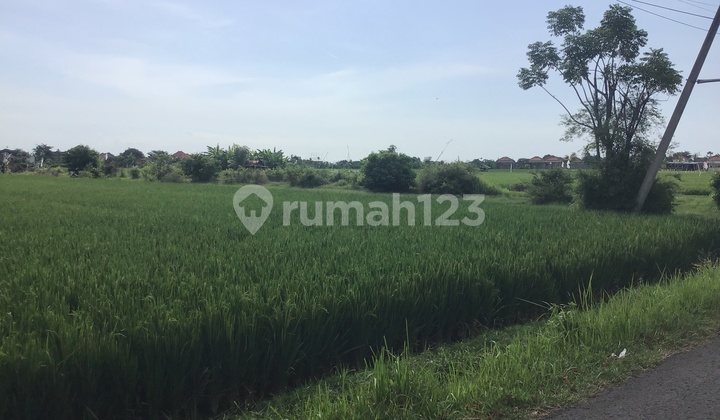 Tanah Murah Dekat Panti Di Kawasan Villa Di Bali Utara 2
