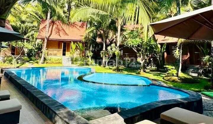 Exclusive Tourism Lodge For Sale In Tejakula North Bali Exclusive Tourism Lodge For Sale In Tejakula North Bali