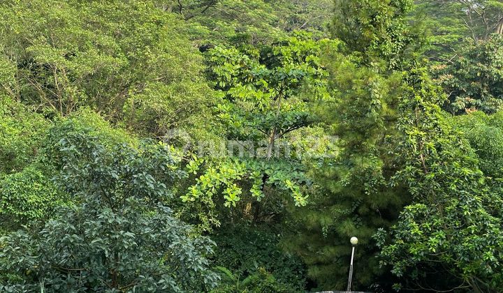 Rumah Jati Cantik dengan Swimming Pool di Mega Cinere 2