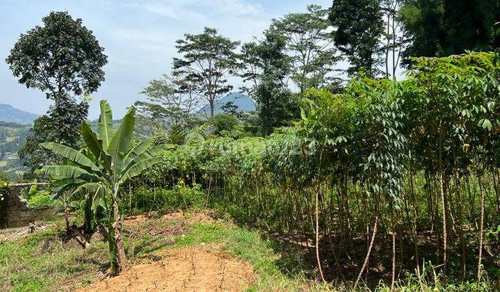 Tanah Luas Cocok Untuk Villa di Gunung Geulis, Bogor 2