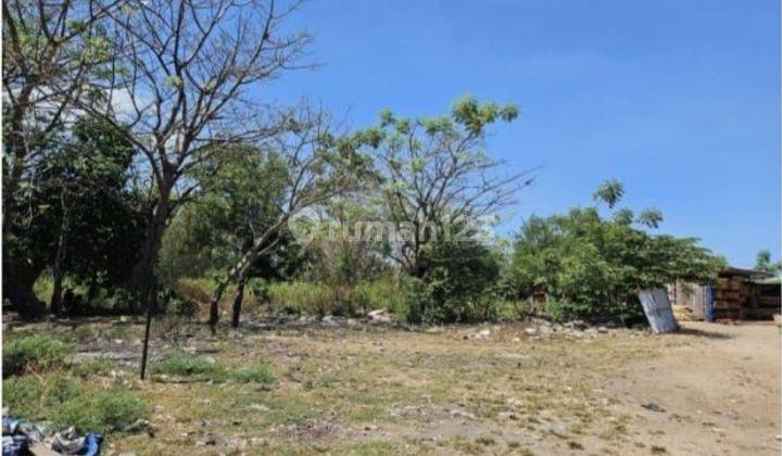 Lahan Di Pelindo Port Kota Makassar Pelabuhan Industrial. Bagus 2