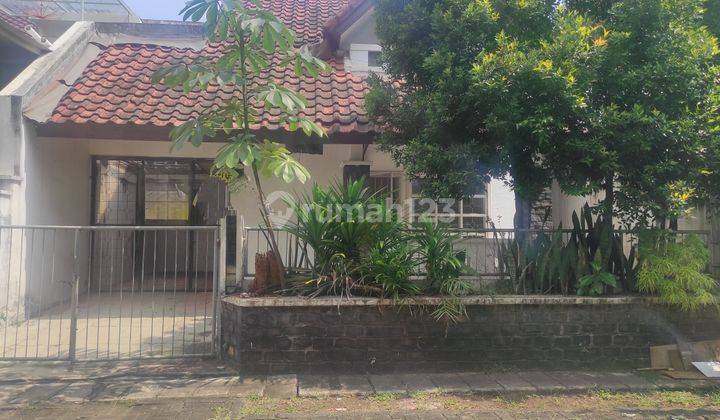 Rumah 1 Lantai Unfurnished Anggrek Loka di Bumi Serpong Damai Tangerang 1