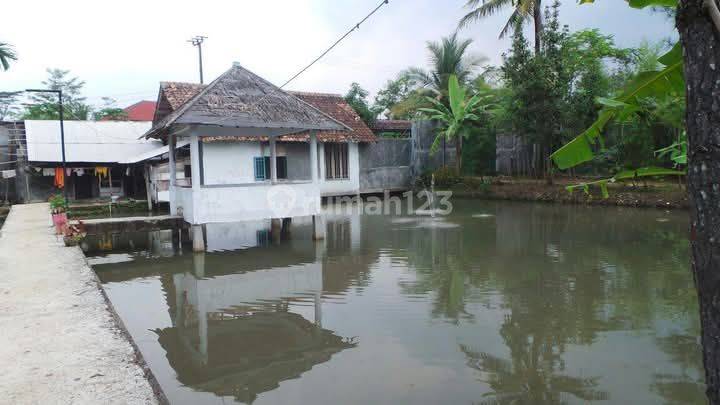 Gedung Walet 8.500 M2 Di Serang Banten : 3kg Sarang Walet Dan Ribuan Sarang Seritinya. Sudah Tembok Keliling Setinggi 4 Meter Aci Luar Dalam. Ada Tambang Pasirnya, 2 Empang Besar. Disekitar Banyak Villa2 Dan Pemancingan. Air Berlimpah Dari Gunung. 1