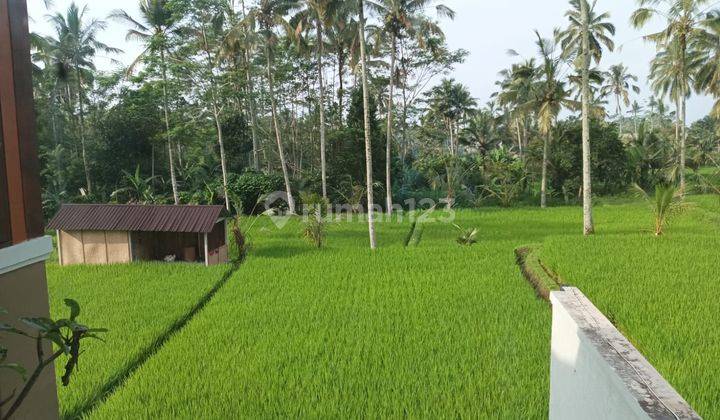 Villa Cuan di Ubud Bali Furnished Dengan Kolom Renang Pribadi  2