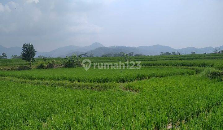 Dijual Tanah Sawah Produktif Di Soreang Kabupaten Bandung 1