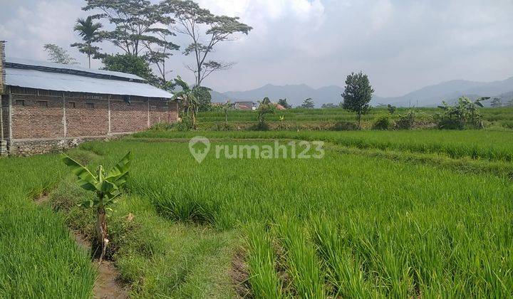 Dijual Tanah Sawah Produktif Di Soreang Kabupaten Bandung 2