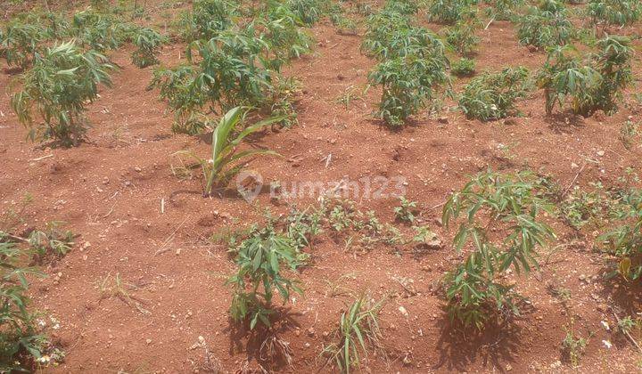 Dijual Lahan Kosong Murah Di Cimanggung Sumedang Jawa Barat 2