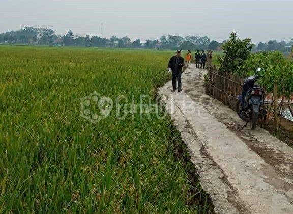 Jual Tanah Pesawahan Di Bojongsoang Bandung Kawasan Industri 2