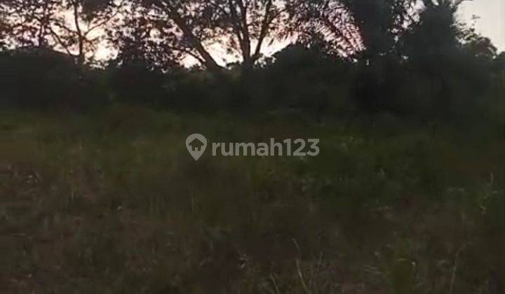 Tanah Di Jalan Utama Sekupang Batam Cocok Buat Usaha  2