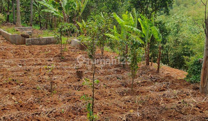 Tanah Murah Di Kota Bandung Di Palasari Cocok Untuk Vila Rumah 2