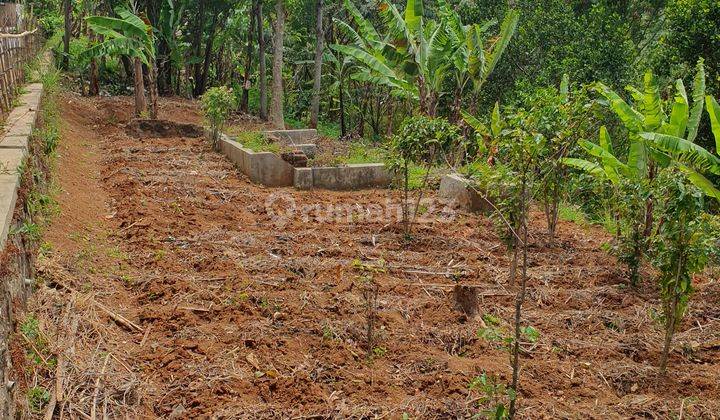 Tanah Murah Di Kota Bandung Di Palasari Cocok Untuk Vila Rumah 1