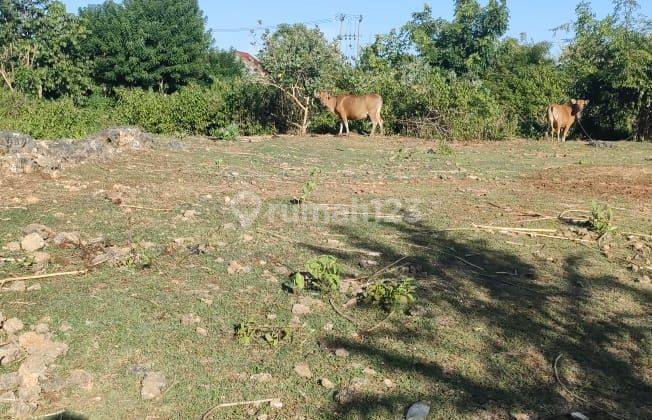 Tanah Hook di Area Karma Kandara Ungasan Cocok Untuk Villa  2