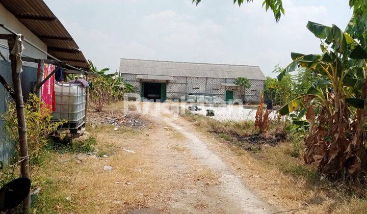 Gudang penggilingan beras, tanah Luas Lamongan 1