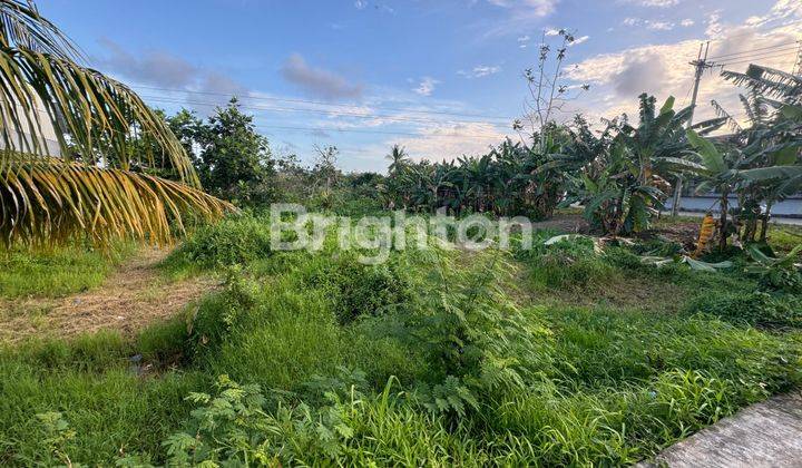 Tanah Luas Kampung Timur Balikpapan 2