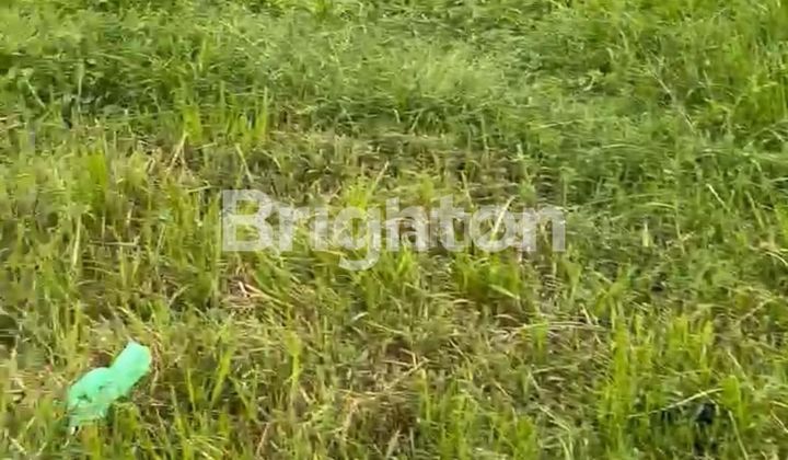 TANAH LANGKA DAN STRATEGIS TANAH LANGKA DAN STRATEGIS