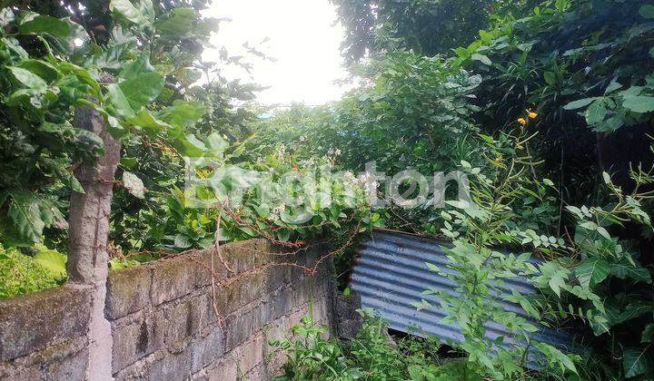 RARE LAND BYPASS NGURAH RAI RARE LAND BYPASS NGURAH RAI