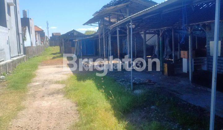 spacious and rare land in the heart of Denpasar city