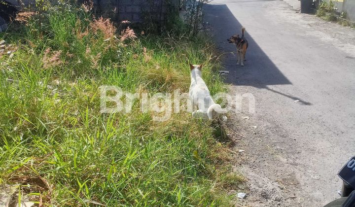 TANAH ISTIMEWA DAN STRATEGIS