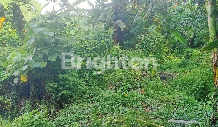 TANAH LUAS DAN STRATEGIS 