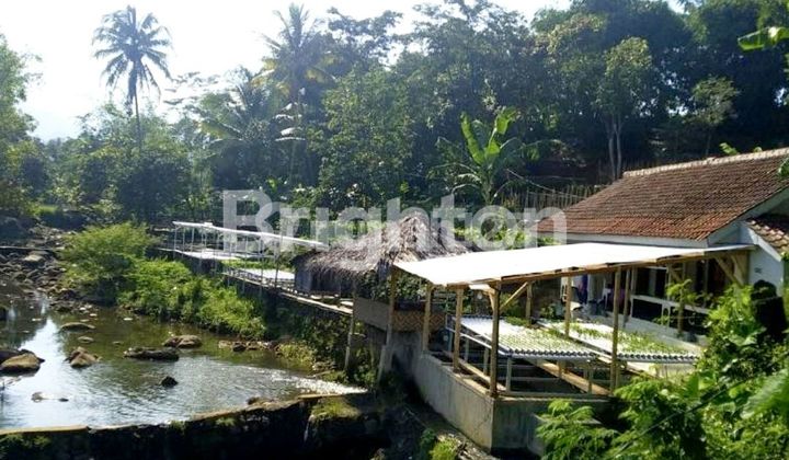 Tanah Siap Usaha Ada 13 Kolam Ikan & Sayur Hidroponik, Ds. Ciasmara, Bogor