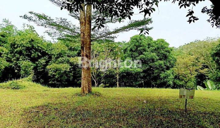 TANAH LUAS DAN MURAH DALAM KOMPLEK BUKIT CINERE INDAH