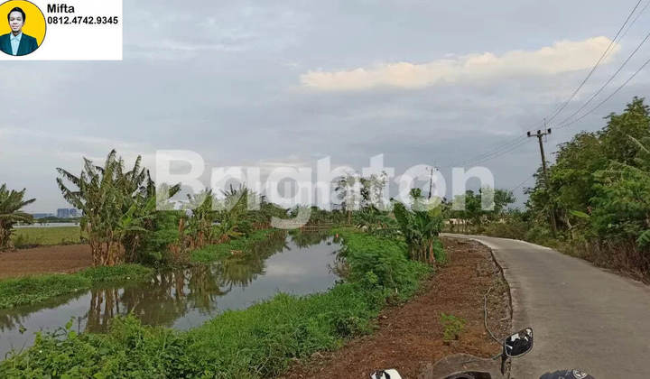419. Dijual Tanah Luas 40.000m² di Tarumajaya Bekasi – Lokasi Super Strategis dan Murah Cocok untuk Developer atau Gudang 419. Dijual Tanah Luas 40.000m² di Tarumajaya Bekasi – Lokasi Super Strategis dan Murah Cocok untuk Developer atau Gudang