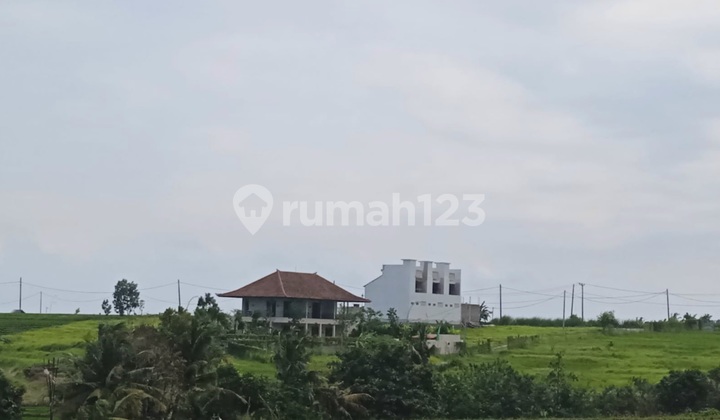 Freehold Land 2,160 m² in Tegalmengkeb Tourist Zone, Tabanan Bali for Rent Minimum 600 m2 Near Kelencung Beach Freehold Land 2,160 m² in Tegalmengkeb Tourist Zone, Tabanan Bali for Rent Minimum 600 m2 Near Kelencung Beach