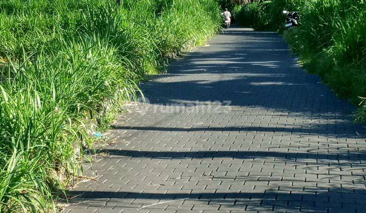 Tanah 12 Are (1200m2 ) Di Pinggir Jalan 150m Menuju Pantai Saba Gianyar Bali Leasehold 30 Tahun Rare Opportunity 1
